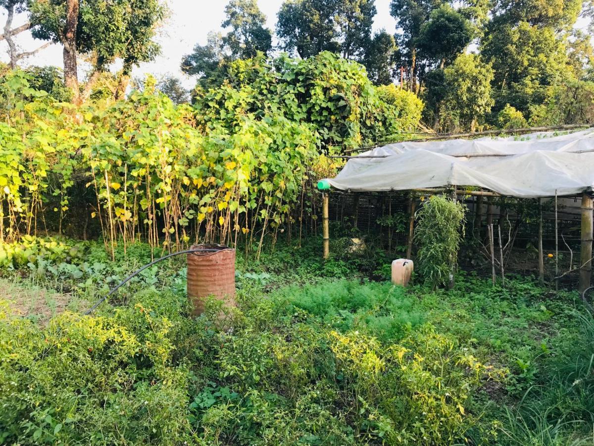 Hom'S Homestay & Farmstay Sarangkot Pokhara Exterior photo